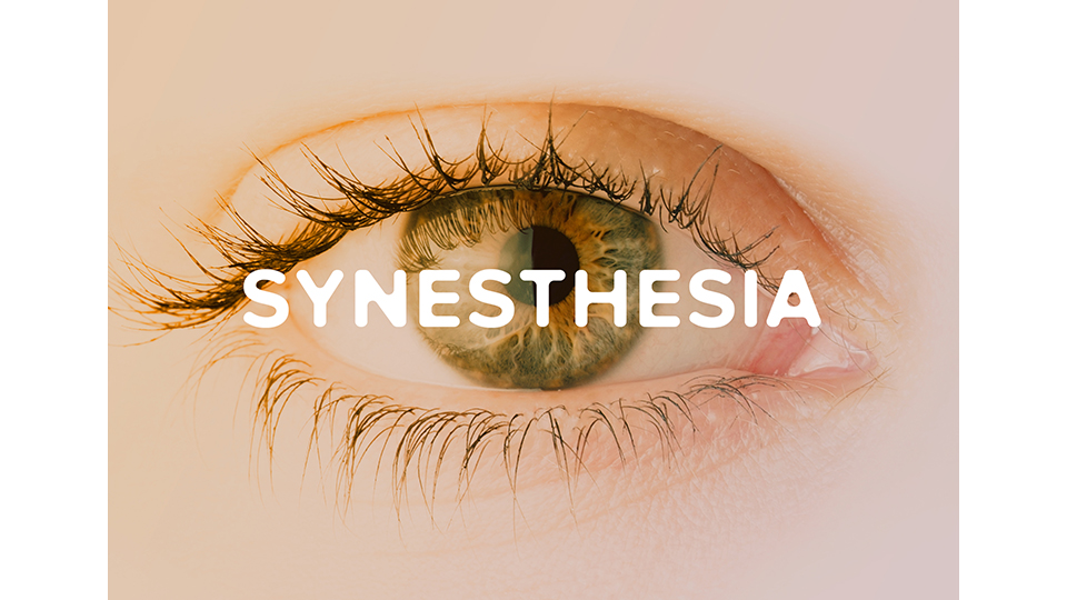 Beautyworld Middle East - Synesthesia