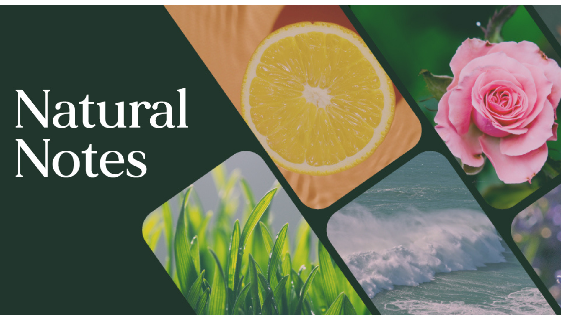 Beautyworld Middle East - Natural Notes